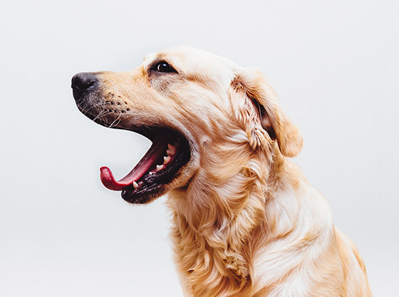 12 book apps that every student should have nowdays