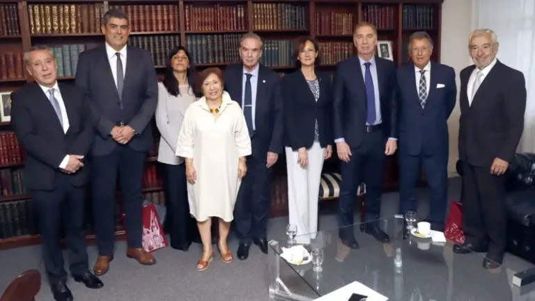 EL GOBIERNO APURA LA DISCUSIÓN POR LAS PASO, PERO LA OPOSICIÓN SE INCLINA POR MANTENERLAS