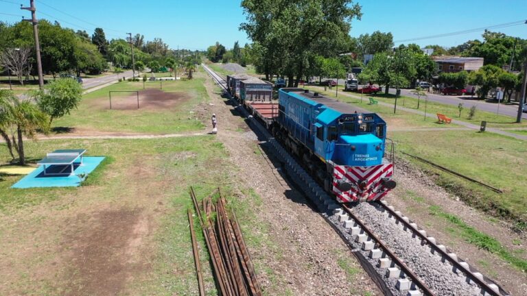 TREN MITRE: PROYECTAN RELANZAR LA RENOVACIÓN DE VÍAS ENTRE VICTORIA Y EL TALAR