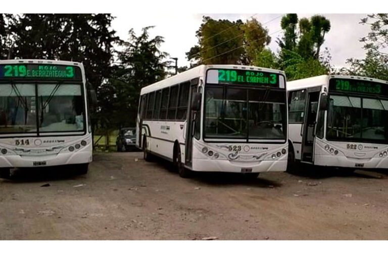 EL BOLETO DE TRANSPORTE AUMENTÓ HASTA 17 VECES EN LA GESTIÓN MILEI Y SUPERA LA INFLACIÓN