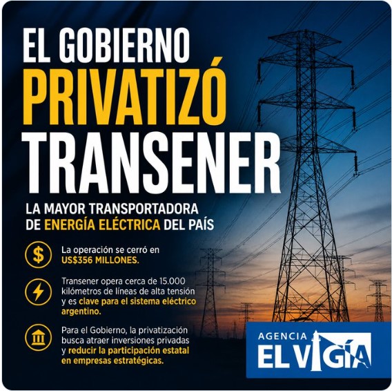 EL GOBIERNO PRIVATIZÓ TRANSENER