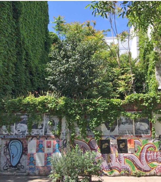 UN PULMÓN PARA EL BARRIO