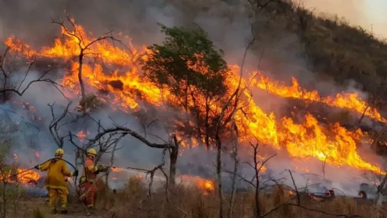ALERTA POR INCENDIOS EN CÓRDOBA: ADVIERTEN RIESGO EXTREMO PARA EL VIERNES POR CALOR, VIENTO Y BAJA HUMEDAD