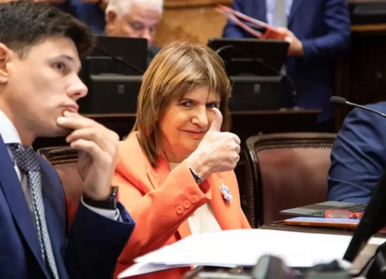 LEY DE TIERRAS: ALIADOS ABANDONAN EL BARCO Y DEJAN AL GOBIERNO SIN SESIÓN EN EL SENADO