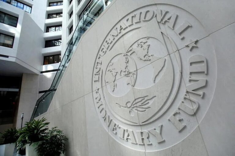 SEGÚN EL FMI, ARGENTINA NECESITA UNA REFORMA DEL SISTEMA TRIBUTARIO Y APUNTÓ CONTRA EL IVA Y COMBUSTIBLES